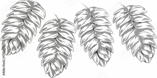 Four hop cones arranged in a row with detailed shading and a white background creating a simple pattern | editable eps vectors silhouette
