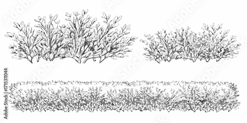 Illustration of three rows of bushes with leaves in grayscale watercolor style rendering style | editable eps vectors silhouette