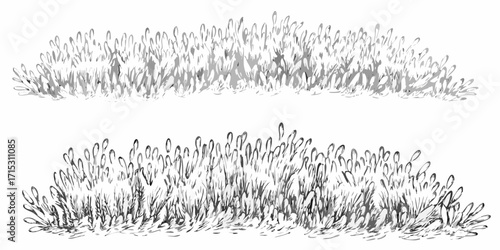 Two rows of monochrome grass illustration with detailed strokes and shading techniques shown here | editable eps vectors silhouette