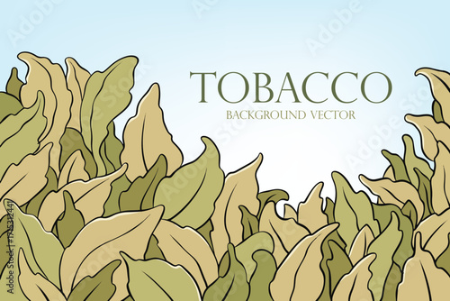 Tobacco Garden Plant. Background Vector illustration