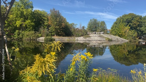 Late summer by the tranquil lake