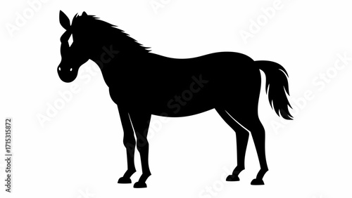 Elegant horse silhouette for equestrian designs, logos, and creative projects, a striking equine symbol