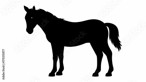 Elegant silhouette of a horse evoking freedom, strength, and nature's beauty for equestrian designs