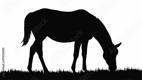 Graceful horse grazing peacefully in pasture silhouette, embodying freedom and natural beauty with clean lines