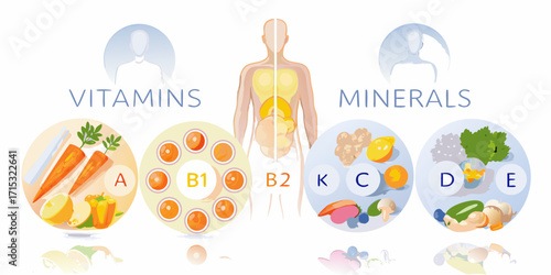 Illustration of essential vitamins and minerals for human health and nutrition with food sources