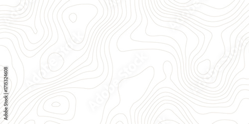 Topography background. Vector banner. Topography map background. Vector geographic contour map. Background of the topographic map. Topographic map lines, contour background. 