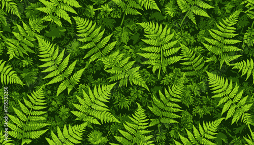 Lush Green Fern Forest Canopy Background.
