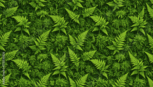 Lush Green Ferns and Foliage Background.
