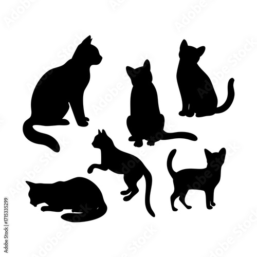 vector isolated silhouette cat set

