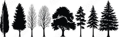 Tree silhouette collection, nature vector illustration, forest elements design, black tree shapes, seasonal landscape graphic, natural wood artwork, outdoor background element