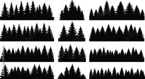 Pine tree forest silhouette vector, evergreen woodland illustration, conifer tree landscape design, black nature background, outdoor wilderness scenery, natural environment 
