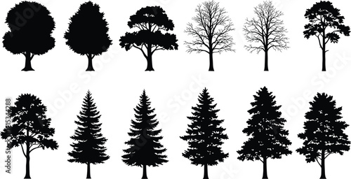 Tree silhouette vector collection, conifer pine illustration, deciduous forest artwork, natural eco design, seasonal nature outline, black woodland plant graphic Tree