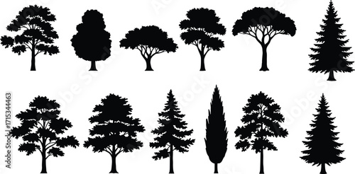 Tree silhouette vector collection, conifer pine artwork, deciduous forest illustration, natural eco plant design, seasonal black outline, woodland graphic nature set
