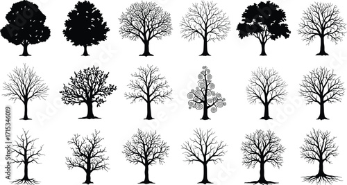Leafless tree silhouette vector set, winter bare branches design, forest seasonal illustration, nature eco graphic, detailed woodland pattern, plant symbol collection