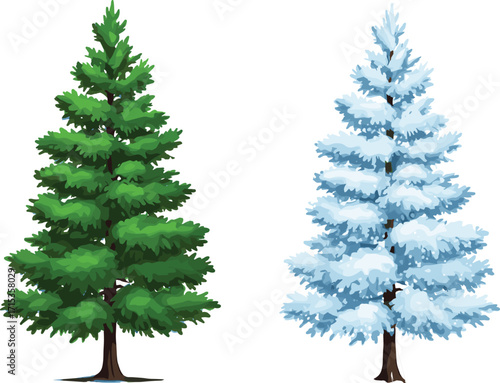 Beautiful evergreen pine tree illustration with snowy winter version, seasonal nature artwork, forest background, holiday theme, natural environment design, cold landscape