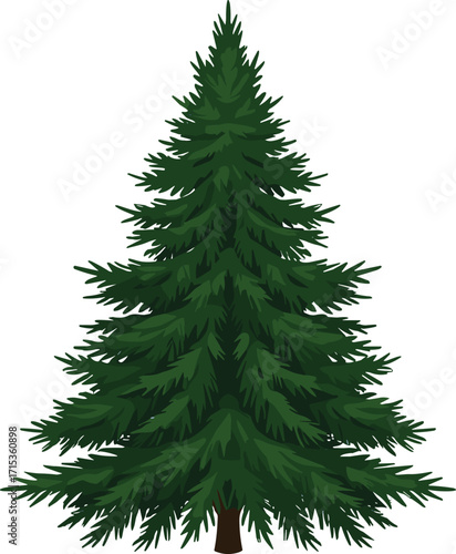 Evergreen pine tree illustration with green branches and needles, natural conifer plant, isolated vector design for forest, nature, Christmas and winter