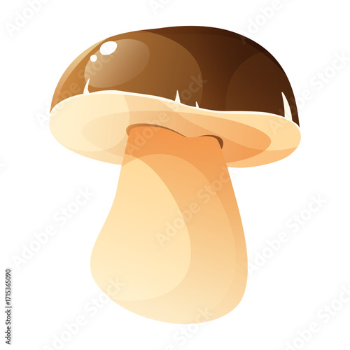 Autumn, fairytale, forest edible mushroom, single mushroom on a white background, ingredient, harvest, plant. Mushroom boletus. Autumn mood, nature. Vector illustration, clip art.
