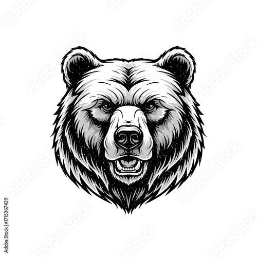 Majestic Bear Head Illustration Strong Wildlife Portrait with Bold Lines
