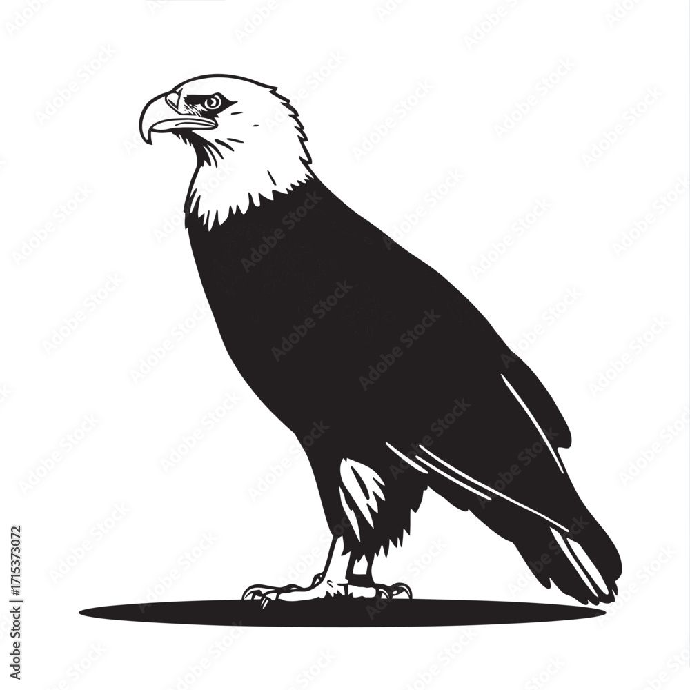 Fototapeta premium Eagle perched on a branch against a white background with detailed feathers and sharp beak isolated in nature