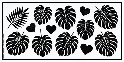 Tropical Monstera Deliciosa Leaf Pattern,  Isolated Green Foliage Vector on Transparent Background, Botanical Jungle Design, Tropical Plant Illustration for Wallpaper, Textiles, Backgrounds, and Creat