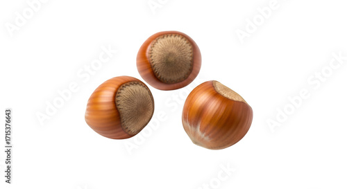 hazelnuts isolated on white background