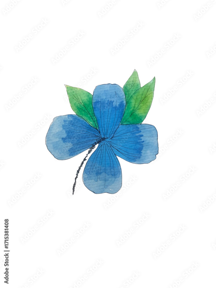 Fototapeta premium blue flower isolated on white