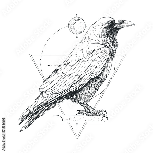 Detailed sketch of a raven with geometric elements and moon. Vector hand drawn illustration

