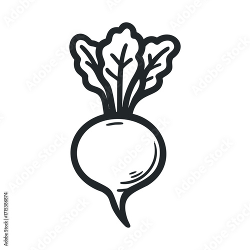 Black and white drawing of a fresh radish with leaves on top. Vector hand drawn illustration

