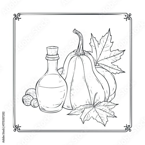 Harvest season display of pumpkin and oil with autumn leaves. Vector hand drawn illustration

