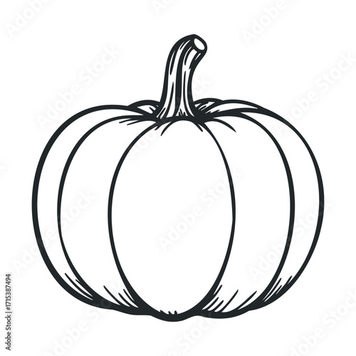 Illustration of a pumpkin for autumn decor and celebrations. Vector hand drawn illustration

