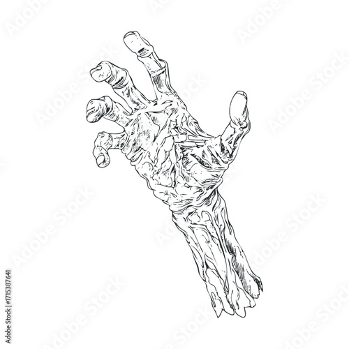 Creepy hand reaching out for Halloween decoration or spooky theme. Vector hand drawn illustration


