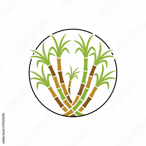 An illustration of green and brown sugarcane stalks with leaves, neatly arranged inside a black circular frame.
