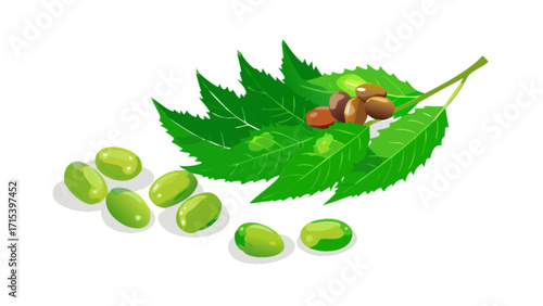 Buy fresh neem leaves and seeds online for health benefits and natural remedies at affordable prices