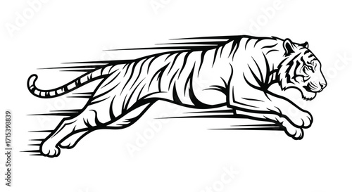 Black and white line art of a leaping tiger, dynamic wild animal sketch symbolizing speed, energy, and untamed predator spirit.