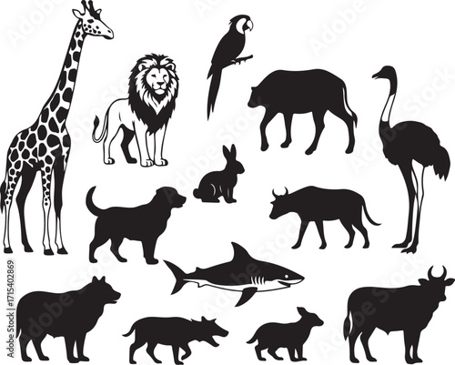 Silhouette animals diverse collection wildlife creatures silhouette