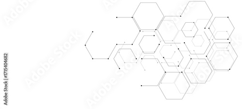 vector illustration of a spider