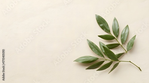 Minimalistic botanical branch with fresh green leaves on neutral beige background, natural plant composition for organic design, wellness, eco concept and aesthetic decoration