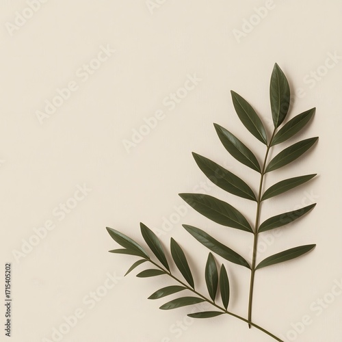 Minimalistic botanical branch with fresh green leaves on neutral beige background, natural plant composition for organic design, wellness, eco concept and aesthetic decoration
