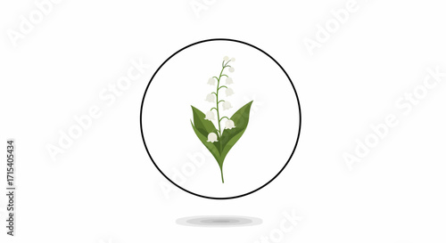 Delicate White Lily of the Valley in Oval Frame.