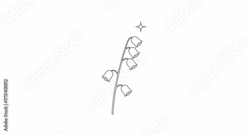 Delicate outline of lily of the valley with a sparkling star.