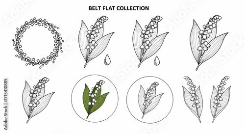 Lily of the Valley Floral Collection Botanical Line Art Illustrations.