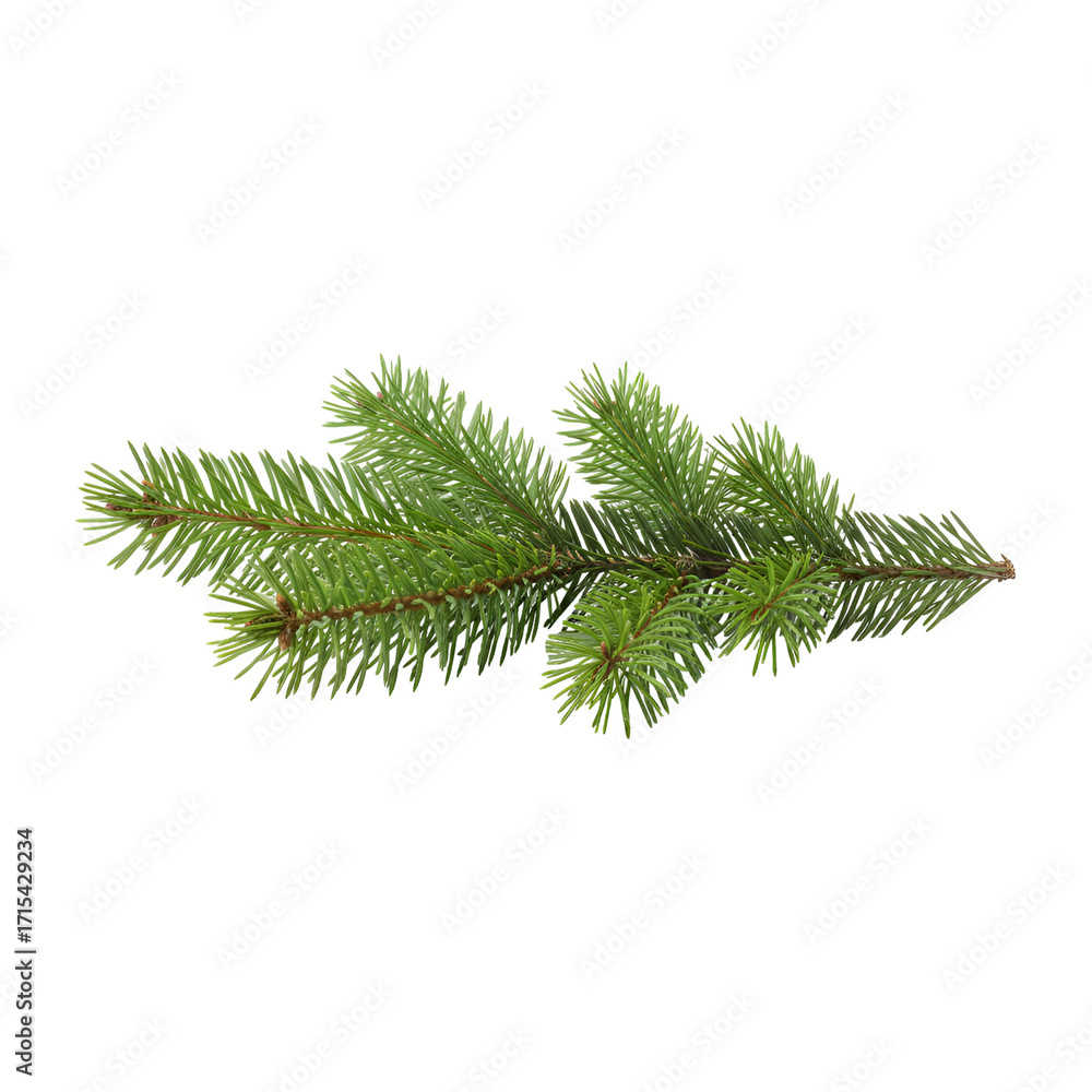 Naklejka premium christmas tree branch isolated