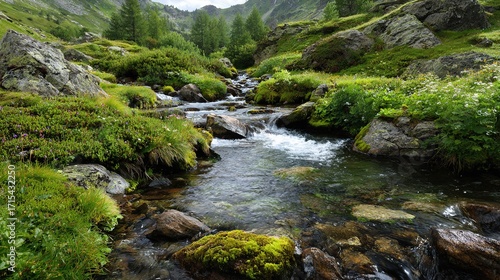 Crystal Clear Forest Stream Flowing Through Mossy Rocks in Lush Green Woods