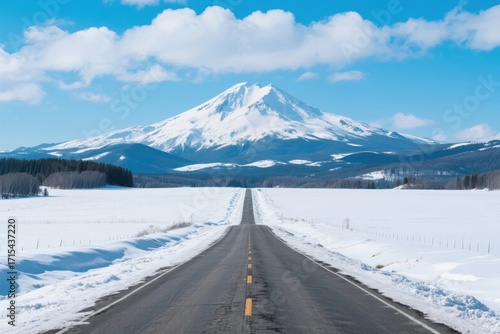 Wallpaper Mural Snow-covered road leading to Mount Fuji under a clear blue sky Torontodigital.ca