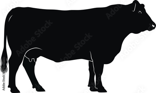 Silhouette of a standing cow a simple graphic representation of livestock farm animal cattle agriculture vector