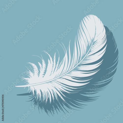 white feather isolated on white