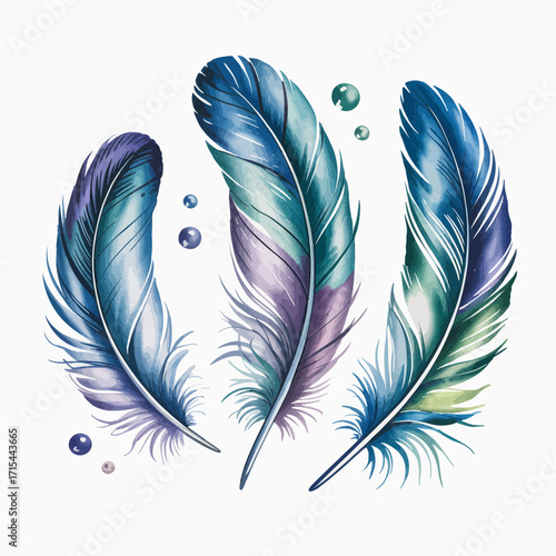 vector illustration of feather