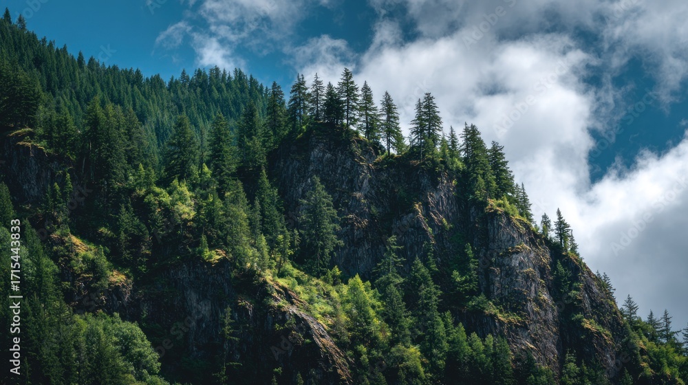 Fototapeta premium Rocky mountain forest landscape