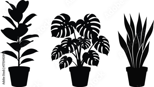 Silhouette collection of potted houseplants monstera fiddle leaf fig snake plant flora vector