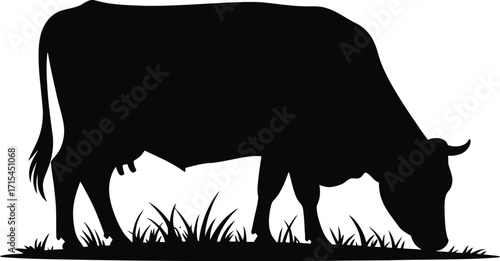 Black cow grazing on grass silhouette vector